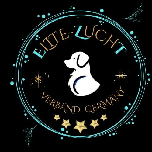 img-20241222-wa0041-2-high